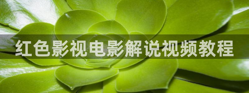 手机看片午夜看片