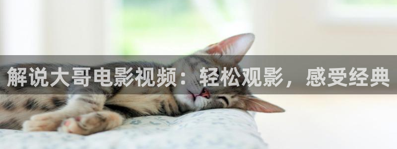 伦伦影院午夜理论片痴汉