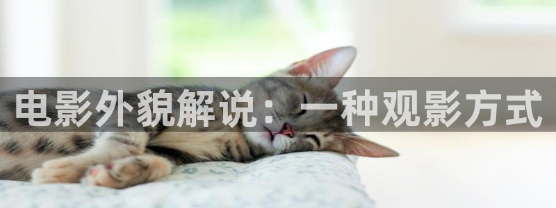 午夜 免费观看