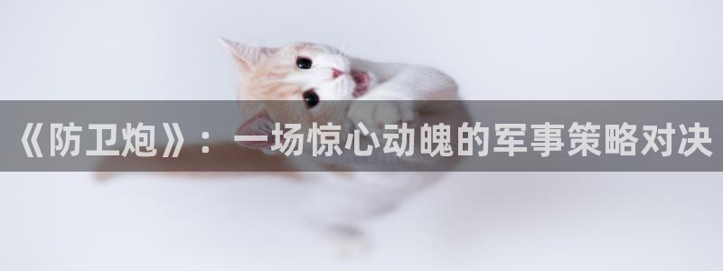 404午夜大片免费看