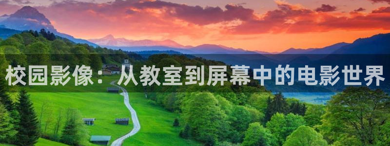 午夜看电影在线观看