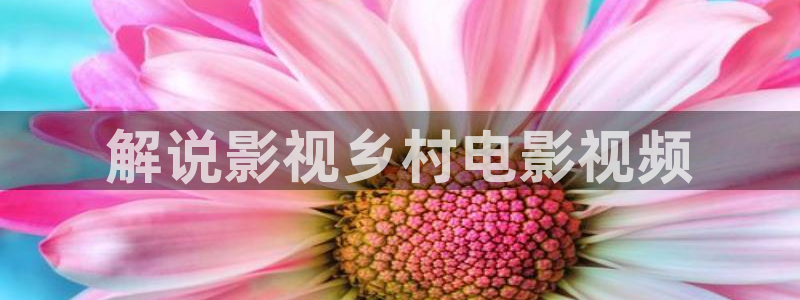 韩国电影午夜剧场免费观看