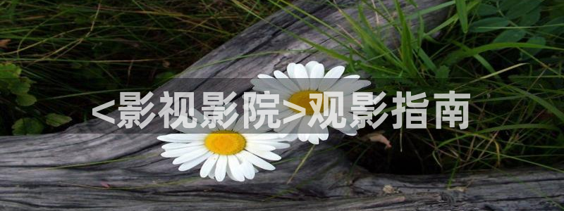 国产av午夜看片