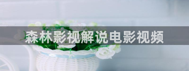 神马电影院老子午夜
