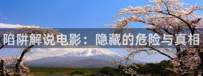 午夜影视免费观看电视剧大全