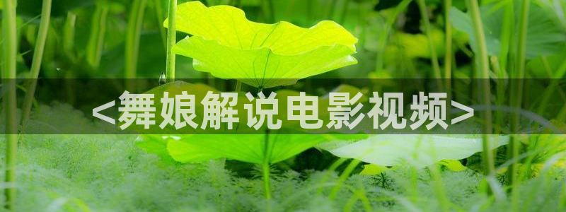 午夜成年人片