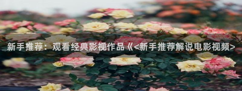 免费视频色午夜