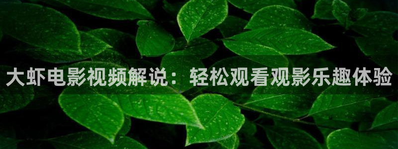 国产午夜精华大片