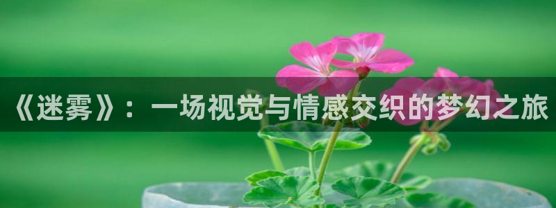 午夜神马福利电影网