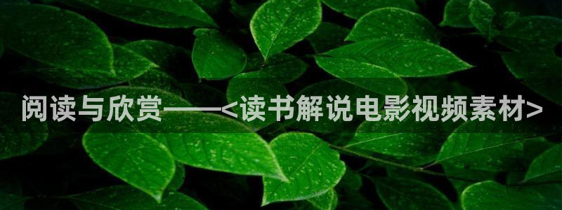 午夜免费av在线
