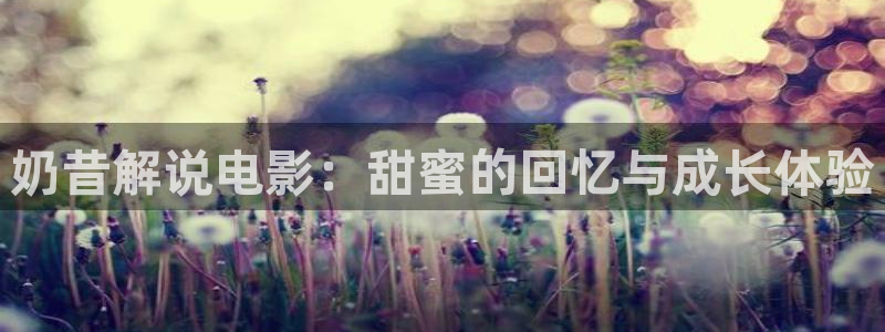 午夜看片网站