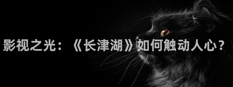 国产午夜av剧场