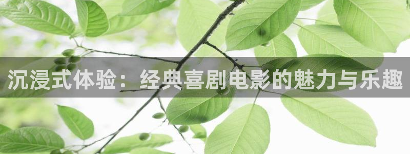 2019午夜在线1000