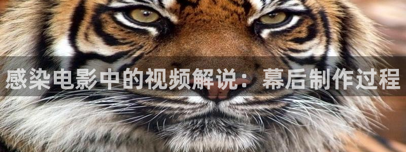 成人.午夜影院