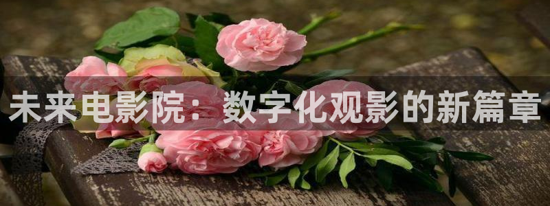 午夜影院在线视频网址