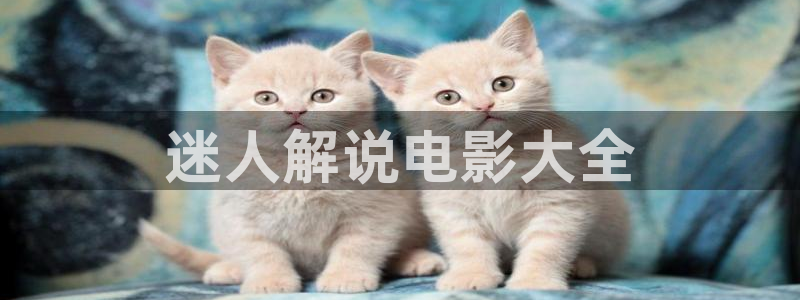 九七电影网 午夜