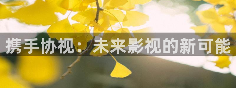 男女午夜激情电影