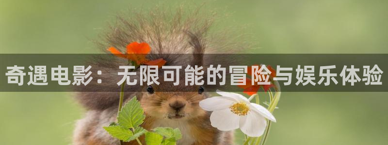 神马dy888午夜伦理