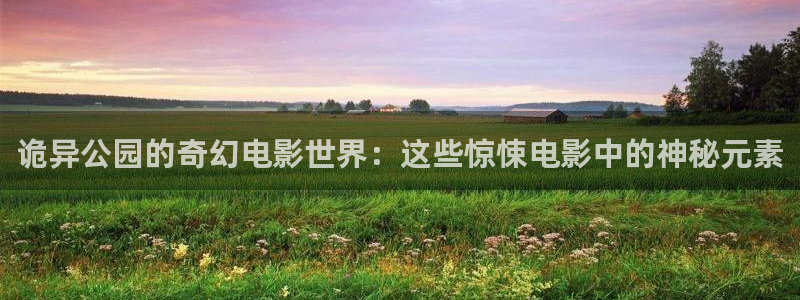 达达兔午夜电影网