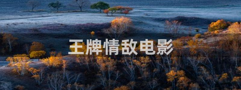 午夜在线视频不卡