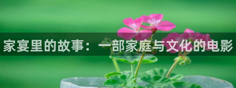好看的午夜理论电影