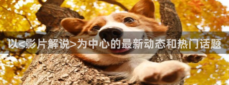 成人午夜免费观看视频