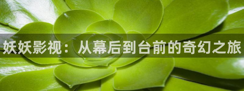 午夜美av