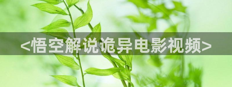 午夜免费看片